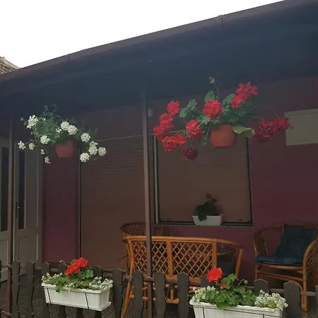 Lägenhet Apartmani, Sobe Ziza