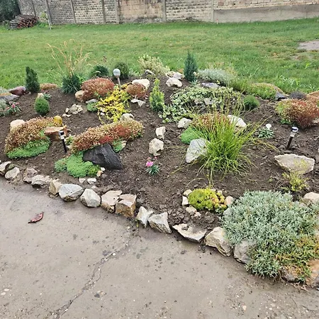 Apartmani, Sobe Ziza Апартаменты