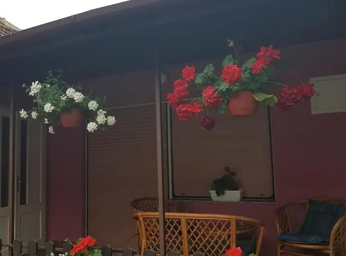 公寓 Apartmani, Sobe Ziza